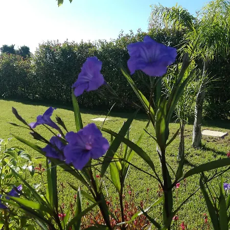 Guest house Giardino D'oriente 4*