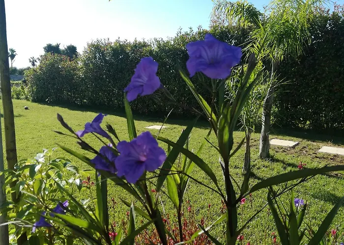 Casa de hóspedes Giardino D'oriente 4*