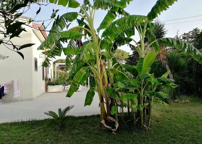 Giardino D'oriente 4*